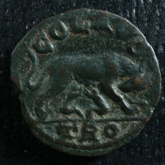 Alexandria Troas AE19 251-260 Tyche she-wolf Romulus Remus