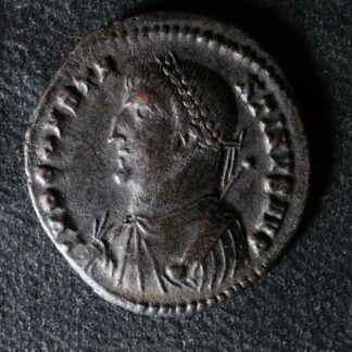 Constantine Follis 317 Heraclea Campgate RIC 16 Constantin