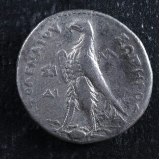 Kings-of-Egypt-Ptolemy-II-AR-Tetradrachm-RY-31-255-254-Sidon-Eagle-276035476970-2