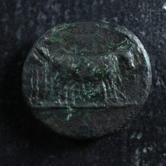 Philippi-Macedon-Augustus-AE17-27-to-14-RPC-1656-Two-priests-plowing-275788396490-2