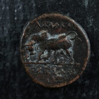Seleukid Empire Seleukos I Nikator AE15 c. -282 to -281 Medusa Bull Meander