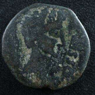 Tiberius AE23 Osset Hispania 14-37 RPC 58 grapes Augustus? male
