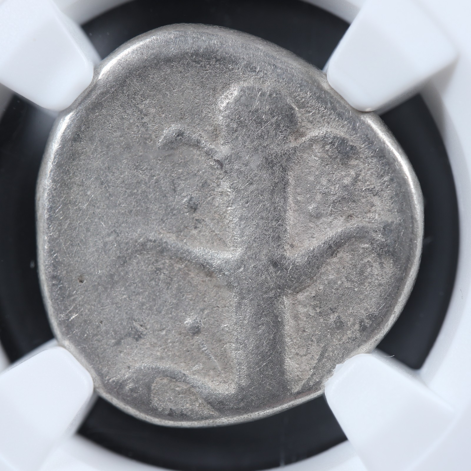 Kyrene-Kyrenaika-AR-Didrachm-c-308-to-275-NGC-VG-Zeus-Silphion-plant-278344818481-2