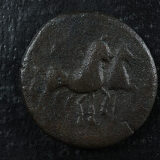 Numidia Rusikade(?) AE28 c. -1st century BC Jugate heads of Dioskouroi Horses