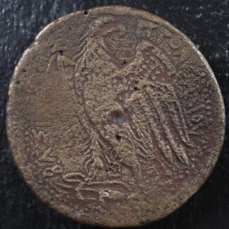 Ptolemy III Euergetes Kings of Egypt AE46 Octobol -246 to -222 Zeus-Ammon Eagle