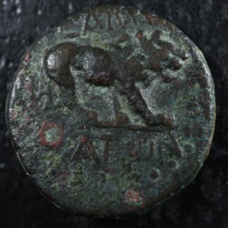 Samosata Commagene AE Tetrachalkon Circa -31 to 38 RPC 3851 Zeus lion