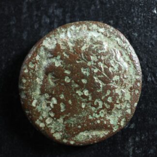 Syracuse-Sicily-Agathokles-AE20-317-to-310-Apollo-triskeles-275788392251-2