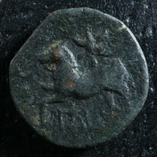 Arpi Apulia AE16 Circa -325 to -275 Zeus Horse Star