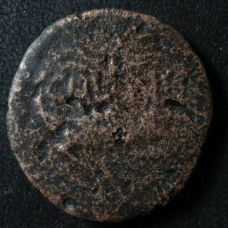 Augustus Agrippa As -20 / 14 Nemausus Crocodile RIC 155? Auguste