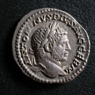 Caracalla-Denarius-216-Serapis-Rome-RIC-280c-Denier-274470830332-2