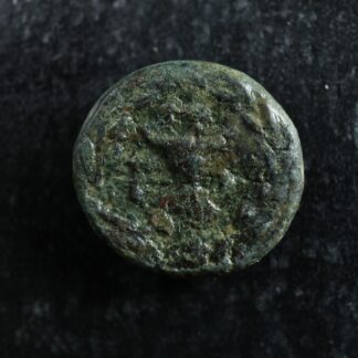Korkyra-Korkyra-AE15-Circa-229-to-48-Poseidon-Bucranium-278031491942-2