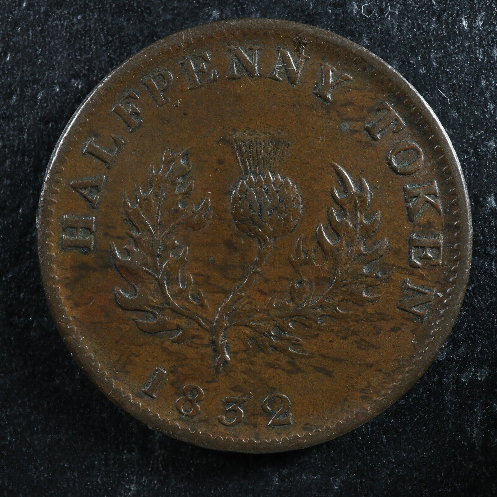 NS-1D3-Halfpenny-token-1832-Nova-Scotia-Canada-Thistle-Breton-871-276020747912-2