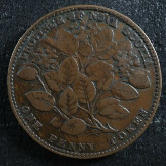 NS-6A1-One-penny-token-1856-Canada-Nova-Scotia-Mayflower-Breton-875-275191052542-2