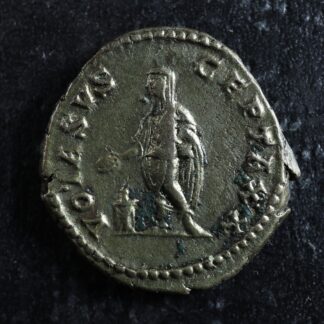 Septimius-Severus-Denarius-202-210-Rome-RIC-308-VOTA-SVSCEPTA-XX-276241851032-2