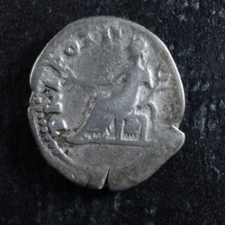 Vespasian-Denarius-71-Rome-RIC-41-Pax-Vespasien-Denier-276241876012-2