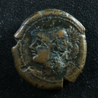 Cales-Campania-Circa-265-240-AE19-Athena-cock-274716196273-2