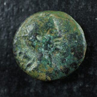 Damascus-Coele-Syria-AE15-Circa-30-29-Apollo-Athena-Time-of-Augustus-278031445263-2