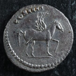 Domitian-as-Caesar-Denarius-76-77-Rome-RIC-921-Pegasus-276509742973-2