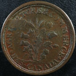 LC-45-Bouquet-Sou-Duseaman-token-Bas-Lower-Canada-HT-204-Low-148-Breton-670-274727369473-2