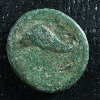 Salapia Apulia AE18 Circa -275 to -250 Horse Dolphin Trident