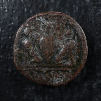 Aradus Phoenicia Elagabalus AE19 Year 477(218-219) Sphinx Vase