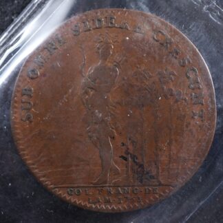 Breton-510-ICCS-VF-20-1751-Franco-American-original-jeton-token-Indian-in-lilies-277079367114-2