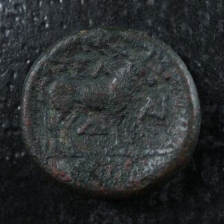 Pella Macedonia AE19 Circa -148 to -31 Poseidon Ox
