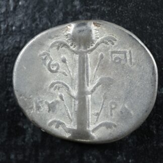 Kyrene Kyrenaika AR Didrachm temp. Magas circa -294 to -275 Zeus Silphion plant