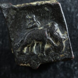 Pushkalavati-Indo-Greek-Kingdoms-AE-square-unit-c-185-to-160-Lion-Elephant-277020934576-2