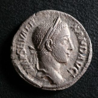 Severus-Alexander-Denarius-228-P-M-TR-P-VII-COS-II-P-P-Rome-RIC-85-Denier-274470822276-2