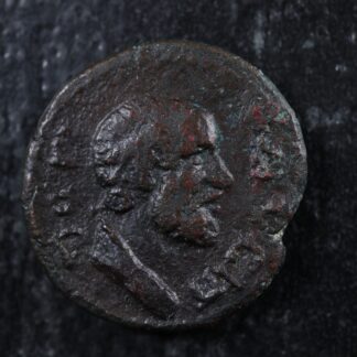 Assarion Dated CY 209 (143/4 AD) Antonine era Pompeiopolis Cilicia Chrysippos