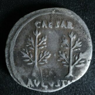 Augustus-Denarius-20-19-laurel-trees-Caesaraugusta-RIC-33A-Denier-274553352297-2