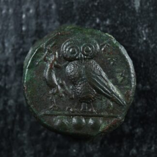 Kamarina Sicily AE Tetras struck c. -410 to -405 Athena Owl Lizard