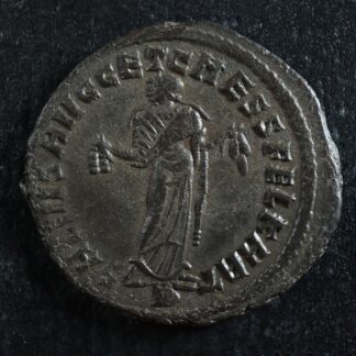 Maximianus-AE-Follis-299-303-Carthage-RIC-31b-Carthages-unique-reverse-276462364108-2