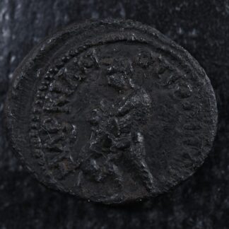 Septimius Severus AE 193-211 Marcianopolis Moesia Inferior Hercules Nemean lion