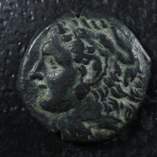 Syracuse Sicily Pyrrhos AE22 Circa -278 to -276 Herakles Athena