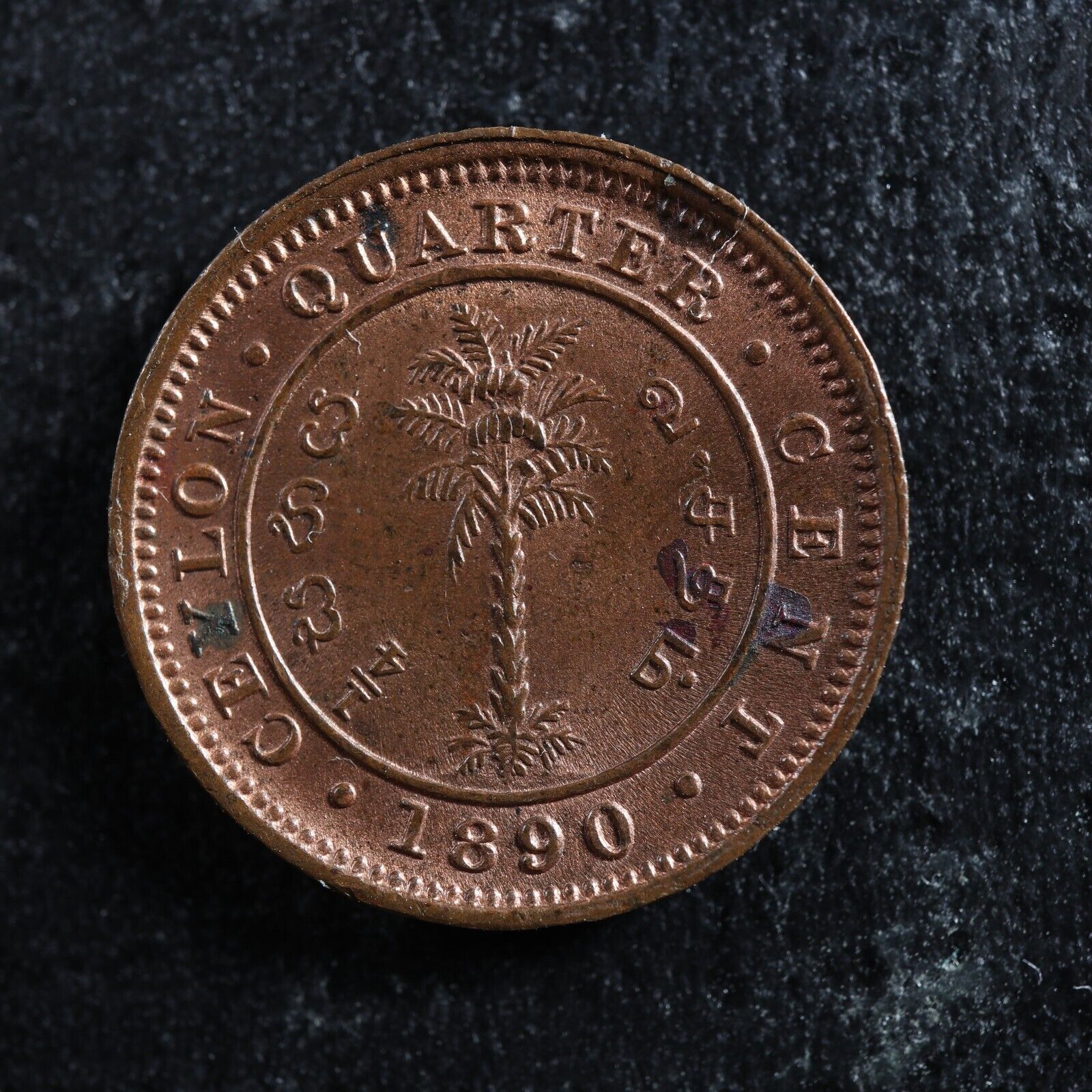 14-cent-1890-Ceylon-KM90-copper-Sri-Lanka-Ceylan-275573242059-2