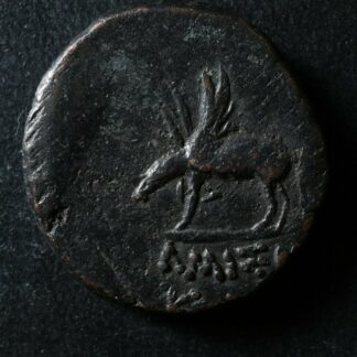 AE22-c-85-65-Pontos-Amisos-Mithradates-VI-Perseus-Phrygian-helmet-Pegasus-274644339769-2