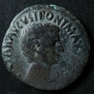 Augustus As -7 AGRIPPA IIIVIR large SC Rome RIC 427 Auguste
