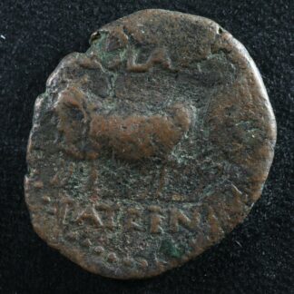 Domitian AE23 Patras Achaea 85-86 Priest Oxen Patrens vexillum