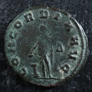 Quintillus-Antoninianus-270-Rome-RIC-13-Concordia-277114596349-2