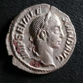 Severus-Alexander-Denarius-228-VIRTVS-AVG-Rome-RIC-224-Denier-Severe-Alexandre-274470817699-2