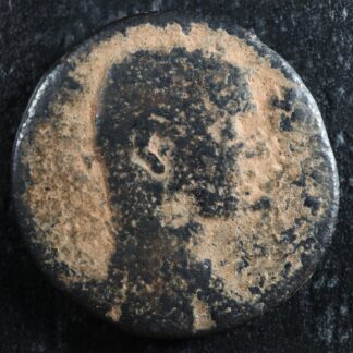 Severus-Alexander-as-Caesar-AE25-Tripolis-Phoenicia-222-temple-Zeus-Helios-276032842249-2