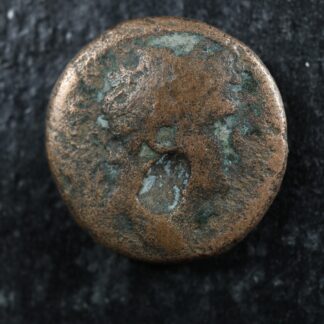 Titus AE Gadara Decapolis 71-74 RPC 2094-6 Crossed cornucopiae